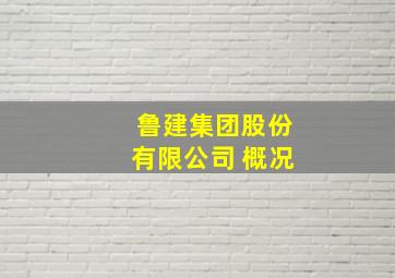 鲁建集团股份有限公司 概况